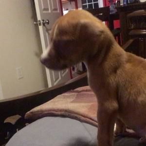 Meet your Posher, Jack